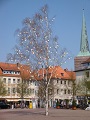 Uelzen Easter Egg Tree